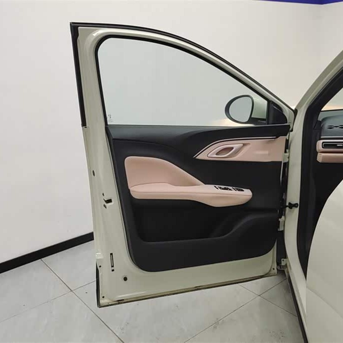 Seagull 2025 305km Vitality Edition Seagull 2025 305km Vitality Edition