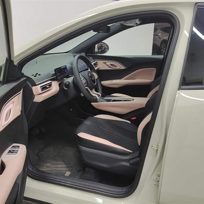 Seagull 2025 305km Vitality Edition Seagull 2025 305km Vitality Edition
