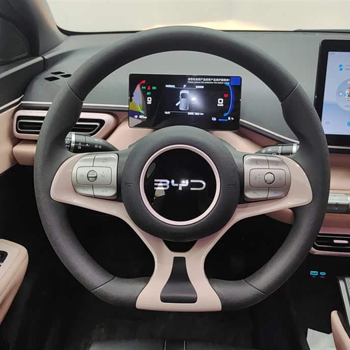Seagull 2025 305km Vitality Edition Seagull 2025 305km Vitality Edition
