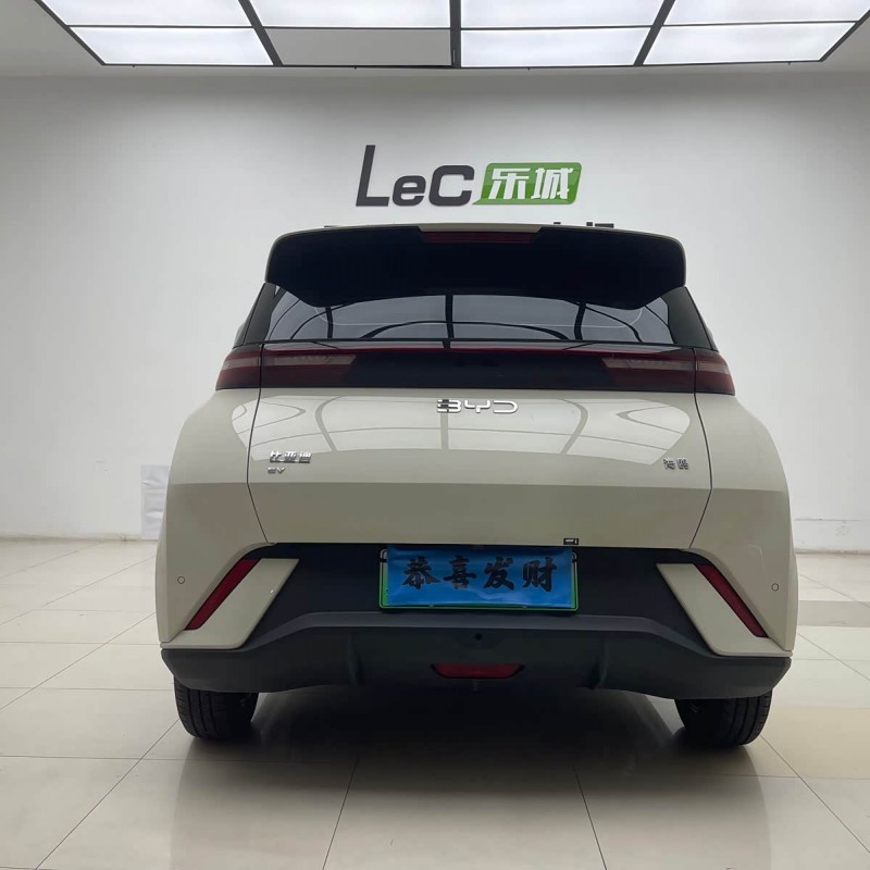 Seagull 2025 305km Vitality Edition Seagull 2025 305km Vitality Edition