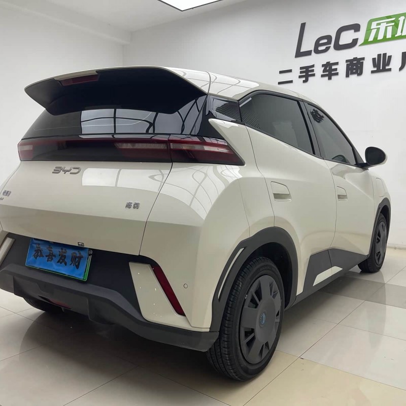 Seagull 2025 305km Vitality Edition Seagull 2025 305km Vitality Edition