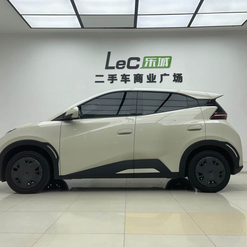 Seagull 2025 305km Vitality Edition Seagull 2025 305km Vitality Edition