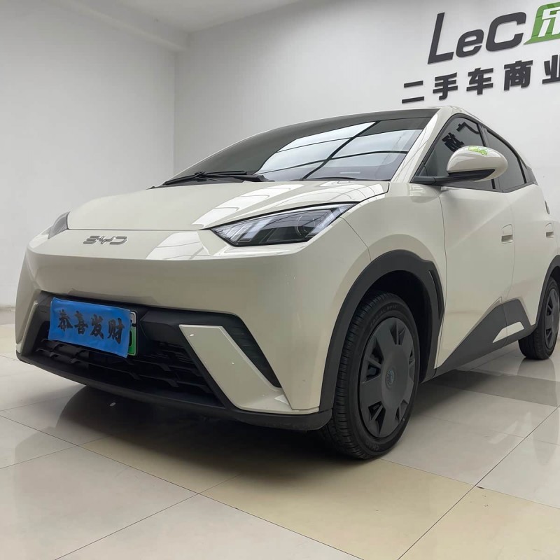 Seagull 2025 305km Vitality Edition Seagull 2025 305km Vitality Edition