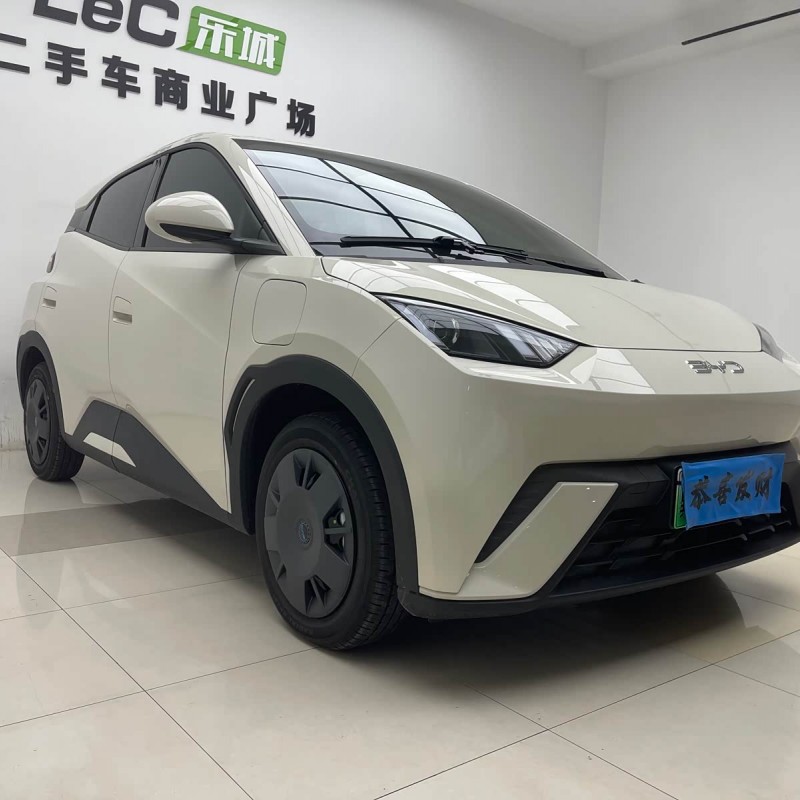 Seagull 2025 305km Vitality Edition Seagull 2025 305km Vitality Edition