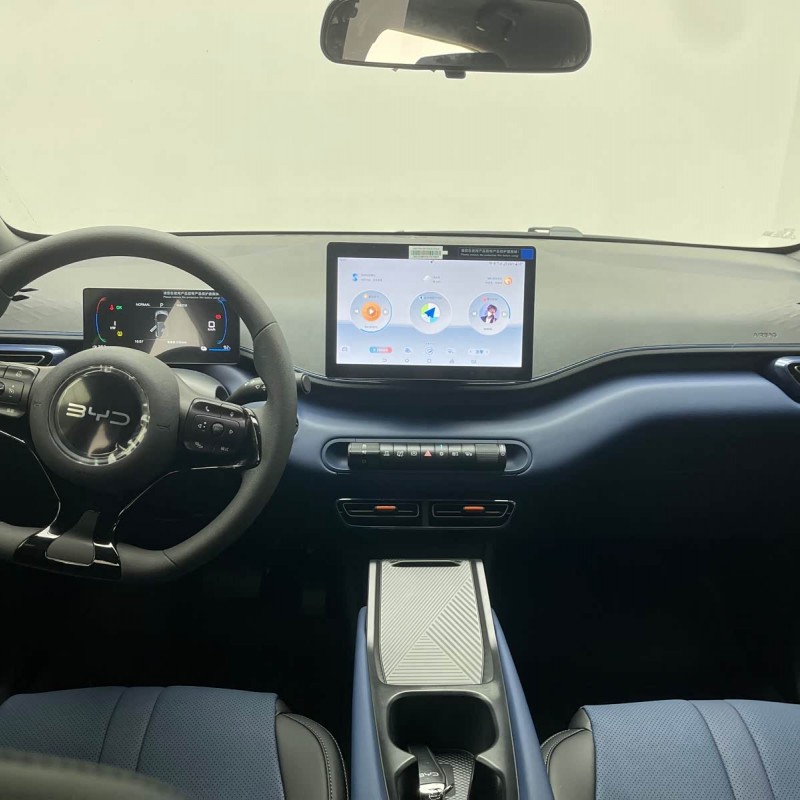Seagull 2025 305km Vitality Edition Seagull 2025 305km Vitality Edition