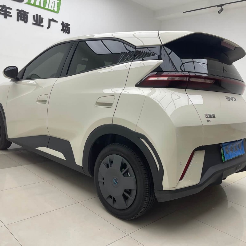 Seagull 2025 305km Vitality Edition Seagull 2025 305km Vitality Edition