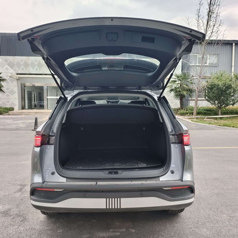 Sea Lion 05 DM-i 2025 DM-i 75KM Luxury Edition Sea Lion 05 DM-i 2025 DM-i 75KM Luxury Edition