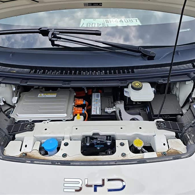 Seagull 2025 305km Vitality Edition Seagull 2025 305km Vitality Edition