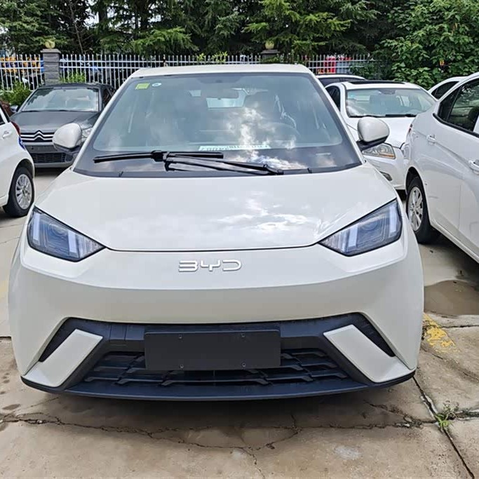 Seagull 2025 305km Vitality Edition Seagull 2025 305km Vitality Edition