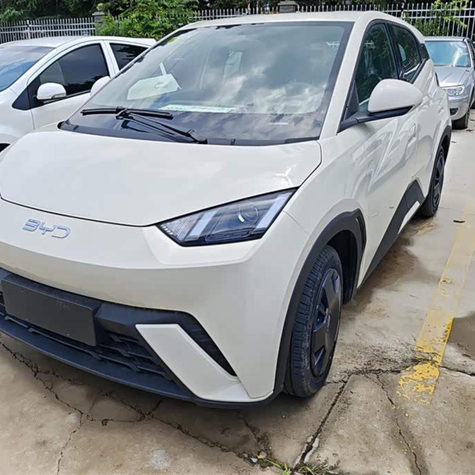 Seagull 2025 305km Vitality Edition