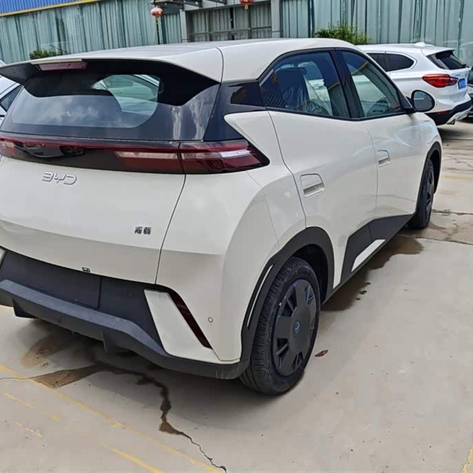 Seagull 2025 305km Vitality Edition Seagull 2025 305km Vitality Edition