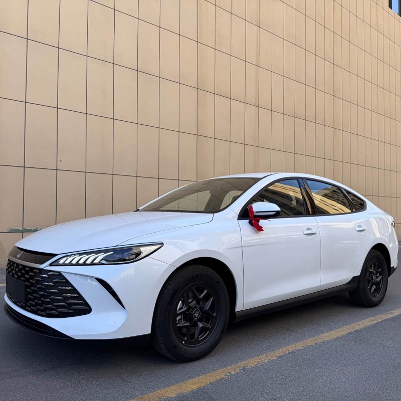 Qin PLUS 2025 DM-i Intelligent Driving Edition 55KM Leading Edition