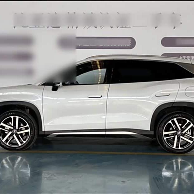 Song L DM-i 2024 model 112km surpassing model Song L DM-i 2024 model 112km surpassing model