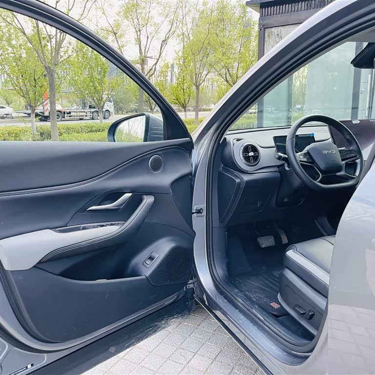 Sea Lion 05 DM-i 2025 DM-i 115KM Flagship Model Sea Lion 05 DM-i 2025 DM-i 115KM Flagship Model