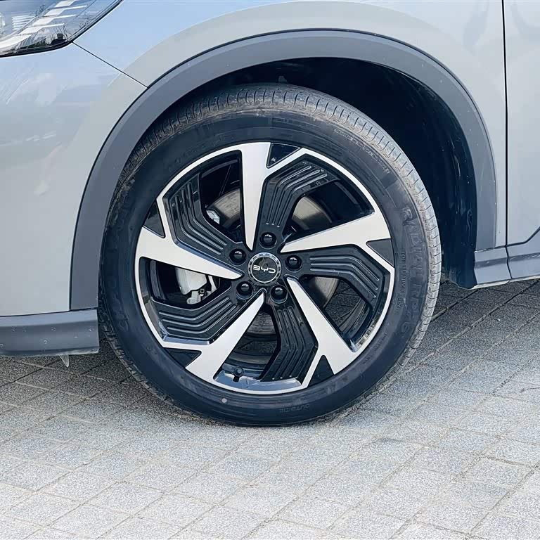 Sea Lion 05 DM-i 2025 DM-i 115KM Flagship Model Sea Lion 05 DM-i 2025 DM-i 115KM Flagship Model