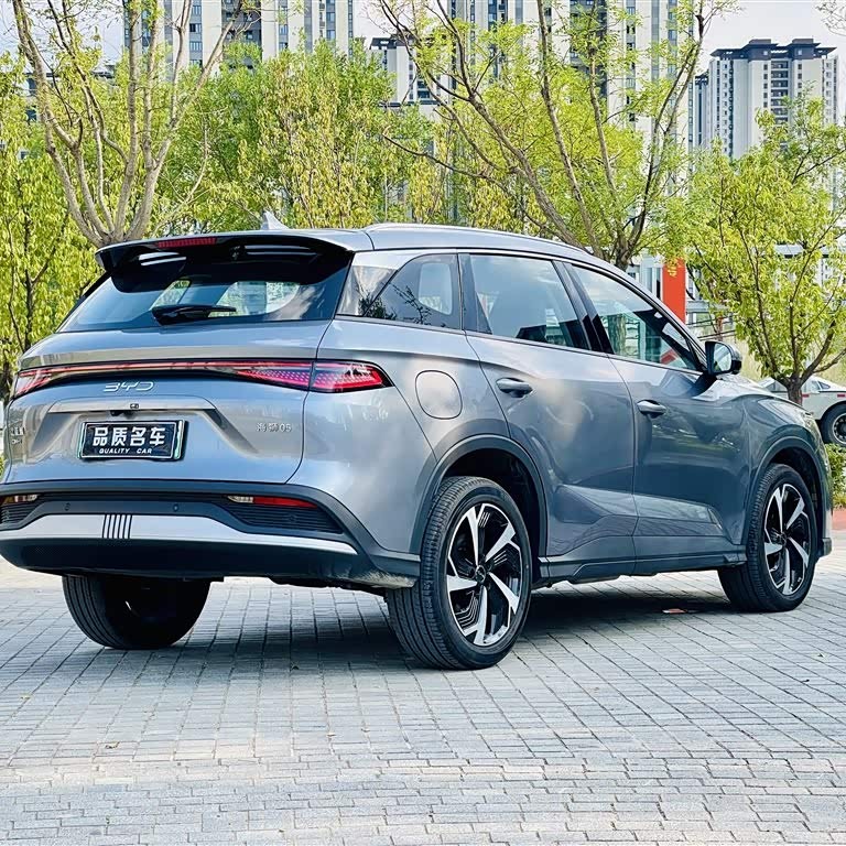 Sea Lion 05 DM-i 2025 DM-i 115KM Flagship Model Sea Lion 05 DM-i 2025 DM-i 115KM Flagship Model