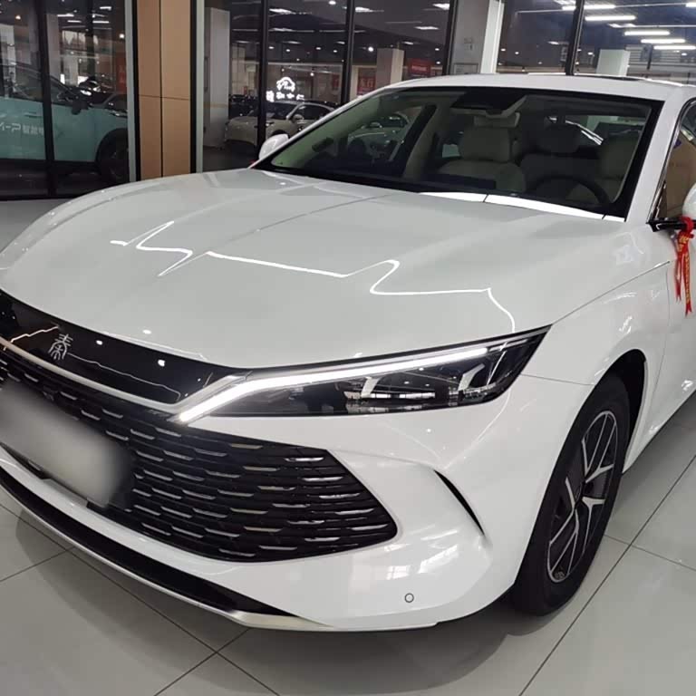 Qin L 2024 DM-i 120KM Beyond Edition Qin L 2024 DM-i 120KM Beyond Edition