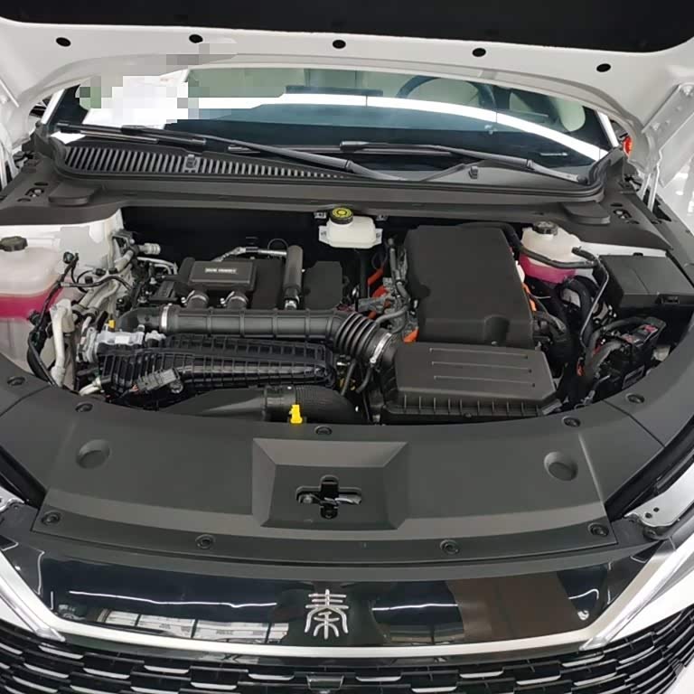 Qin L 2024 DM-i 120KM Beyond Edition Qin L 2024 DM-i 120KM Beyond Edition