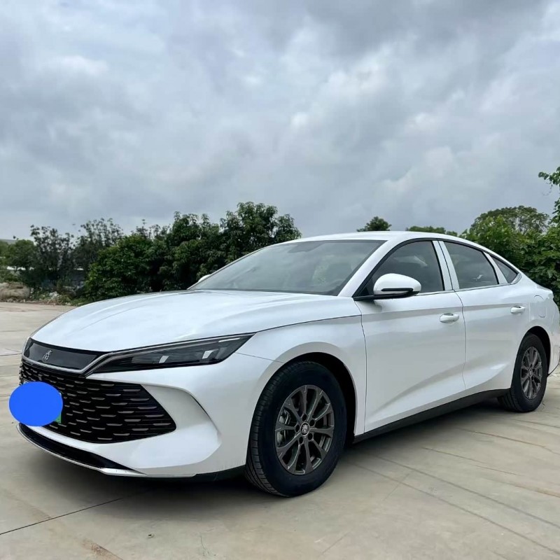 Qin L 2024 DM-i 80KM Leading Edition