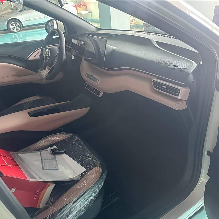 Seagull 2025 Smart Driving Edition 305km Vitality Edition Seagull 2025 Smart Driving Edition 305km Vitality Edition