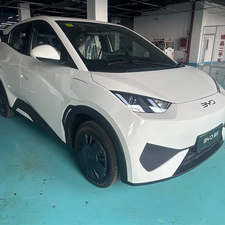 Seagull 2025 Smart Driving Edition 305km Vitality Edition Seagull 2025 Smart Driving Edition 305km Vitality Edition