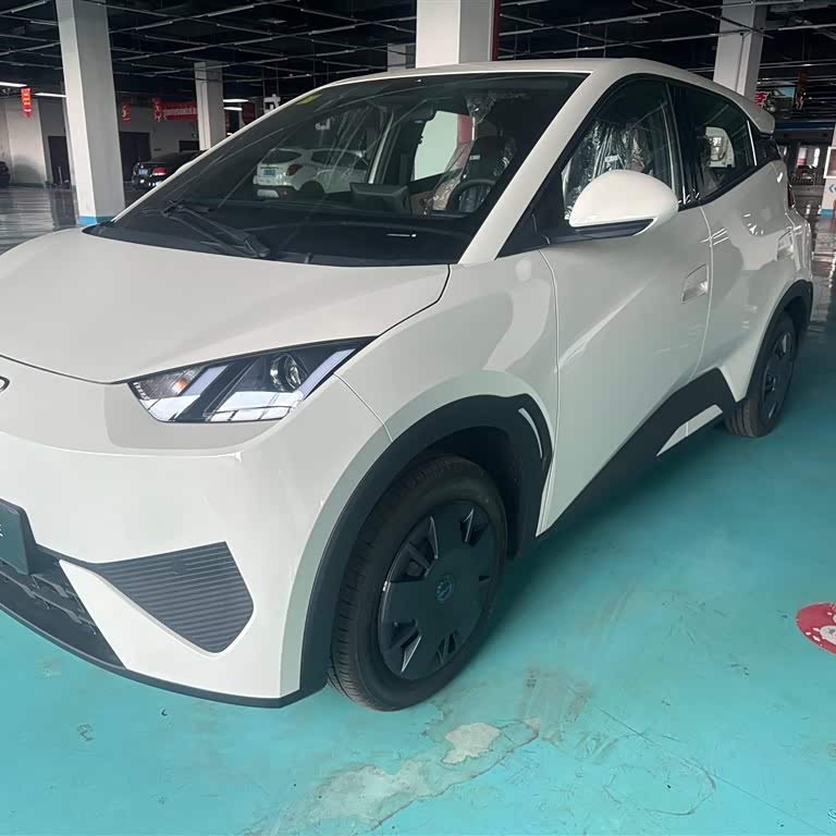 Seagull 2025 Smart Driving Edition 305km Vitality Edition