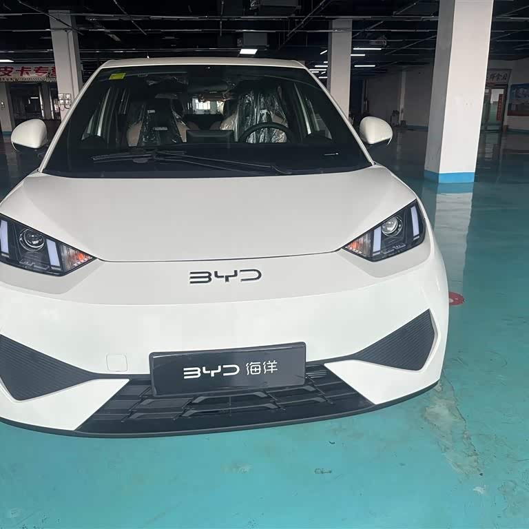 Seagull 2025 Smart Driving Edition 305km Vitality Edition Seagull 2025 Smart Driving Edition 305km Vitality Edition