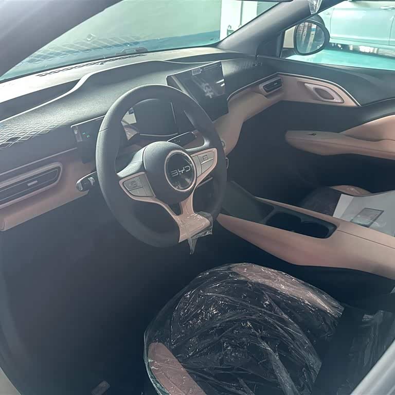 Seagull 2025 Smart Driving Edition 305km Vitality Edition Seagull 2025 Smart Driving Edition 305km Vitality Edition