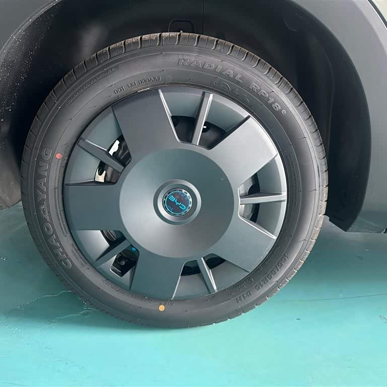 Seagull 2025 Smart Driving Edition 305km Vitality Edition Seagull 2025 Smart Driving Edition 305km Vitality Edition