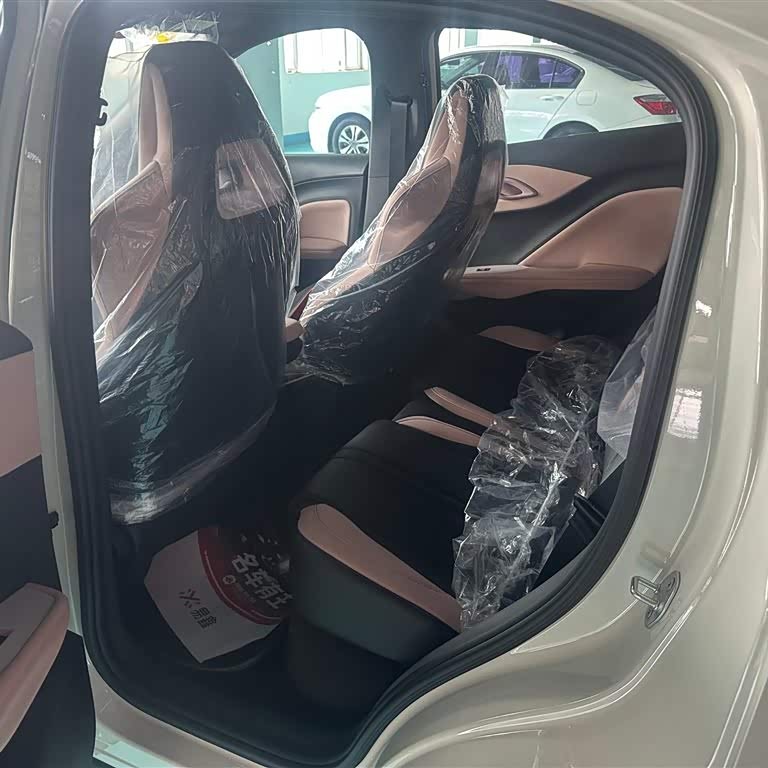 Seagull 2025 Smart Driving Edition 305km Vitality Edition Seagull 2025 Smart Driving Edition 305km Vitality Edition