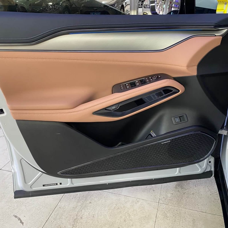 Song L EV 2025 Smart Driving Edition 662km Beyond Edition Song L EV 2025 Smart Driving Edition 662km Beyond Edition