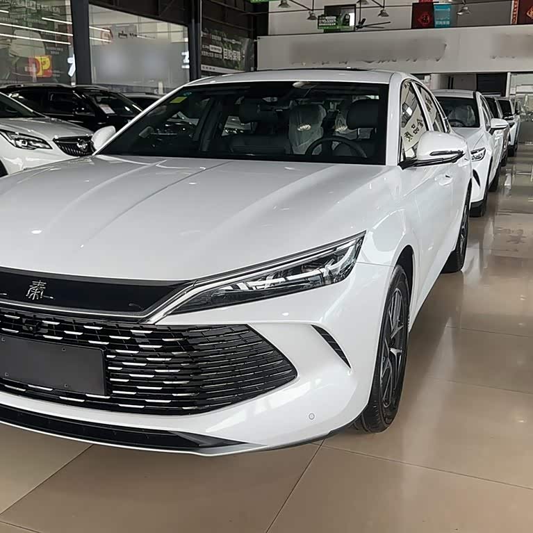 Qin L 2024 DM-i 120KM Leading Edition