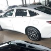 Qin L 2024 DM-i 120KM Leading Edition