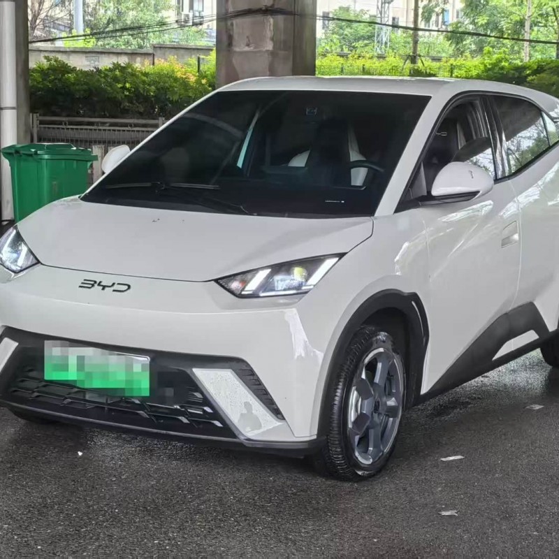 Seagull 2023 Vitality Edition Seagull 2023 Vitality Edition