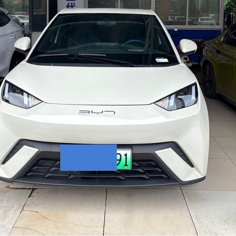 Seagull 2023 Vitality Edition Seagull 2023 Vitality Edition