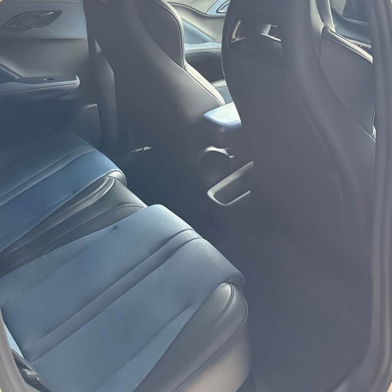 Seagull 2023 Vitality Edition Seagull 2023 Vitality Edition