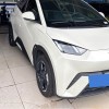 Seagull 2023 Vitality Edition Seagull 2023 Vitality Edition