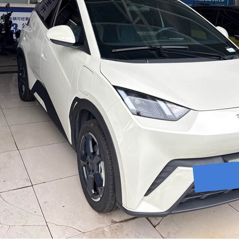Seagull 2023 Vitality Edition Seagull 2023 Vitality Edition