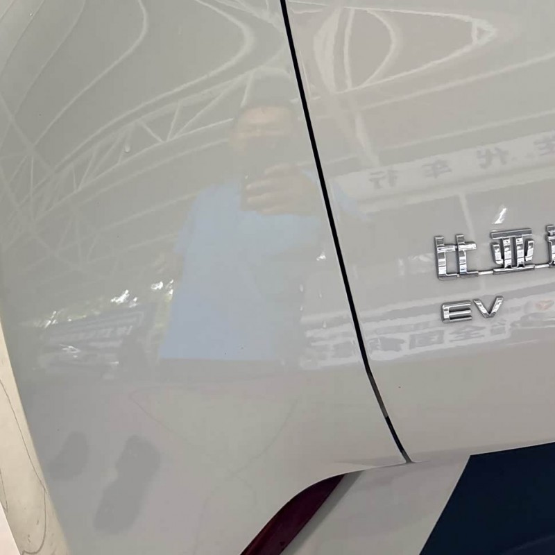 Seagull 2023 Vitality Edition Seagull 2023 Vitality Edition
