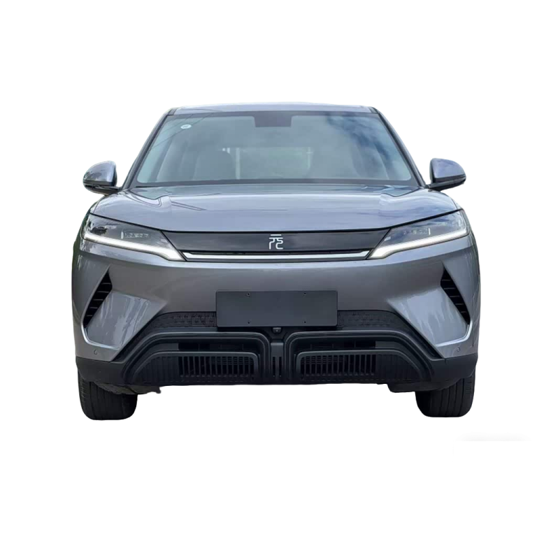 Yuan UP 2024 301KM Leading Edition-gray