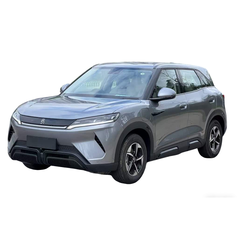 Yuan UP 2024 301KM Leading Edition-gray