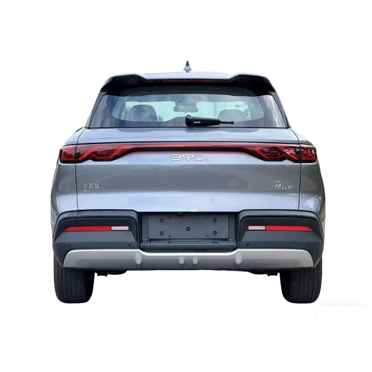 Yuan UP 2024 301KM Leading Edition-gray