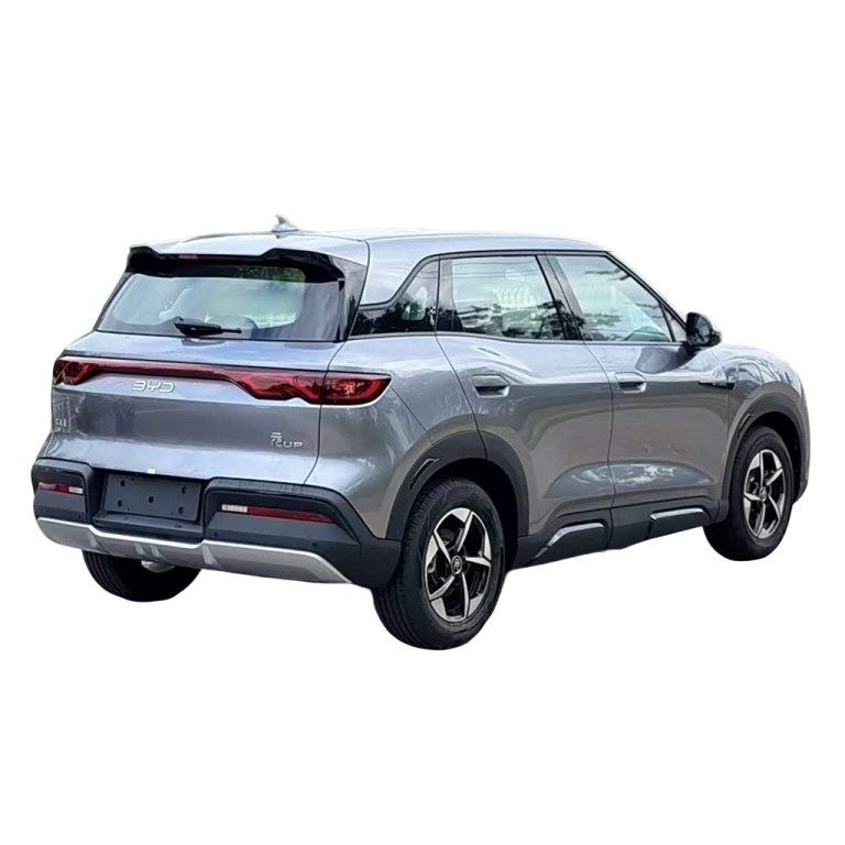 Yuan UP 2024 301KM Leading Edition-gray