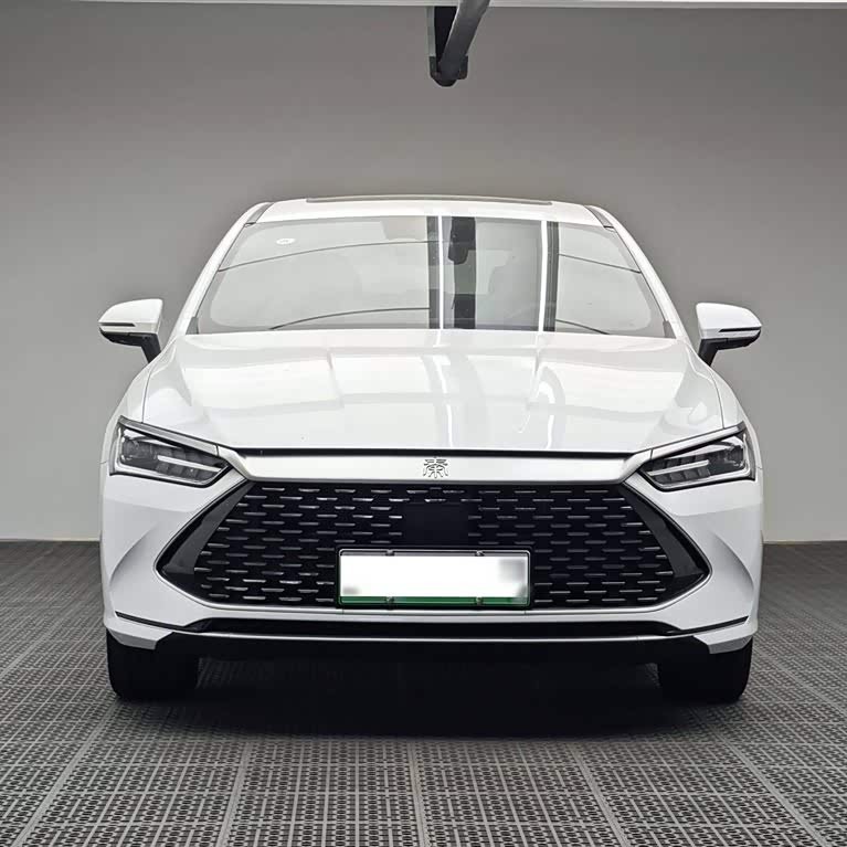 Qin PLUS 2023 Champion Edition DM-i 120KM Excellence Edition Qin PLUS 2023 Champion Edition DM-i 120KM Excellence Edition