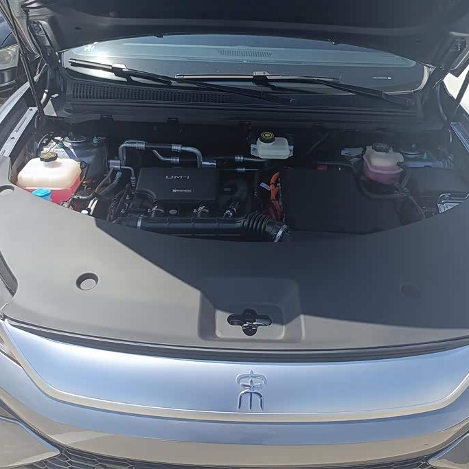 Song Pro New Energy 2025 Second Generation Intelligent Driving Edition DM-i 115KM Excellence Edition Song Pro New Energy 2025 Second Generation Intelligent Driving Edition DM-i 115KM Excellence Edition
