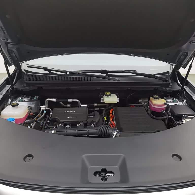 Song Pro New Energy 2025 Second Generation Intelligent Driving Edition DM-i 115KM Excellence Edition Song Pro New Energy 2025 Second Generation Intelligent Driving Edition DM-i 115KM Excellence Edition