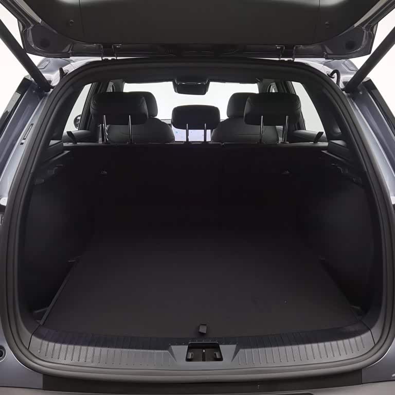Song Pro New Energy 2025 Second Generation Intelligent Driving Edition DM-i 115KM Excellence Edition Song Pro New Energy 2025 Second Generation Intelligent Driving Edition DM-i 115KM Excellence Edition