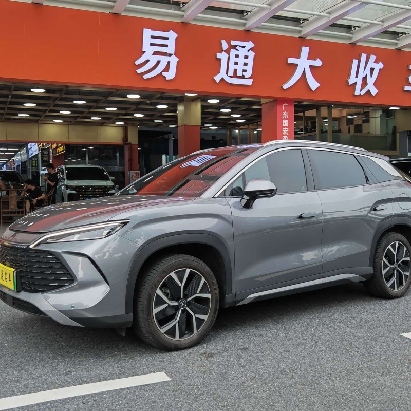 Song L DM-i 2024 model 160km surpassing model Song L DM-i 2024 model 160km surpassing model