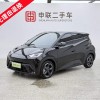 Seagull 2024 Glory Edition 305km Freedom Edition