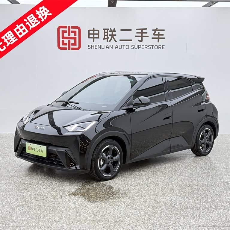 Seagull 2024 Glory Edition 305km Freedom Edition